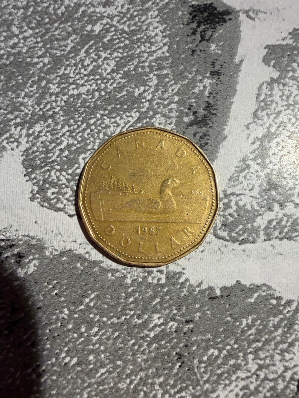 Rare dollar Canadian coin error